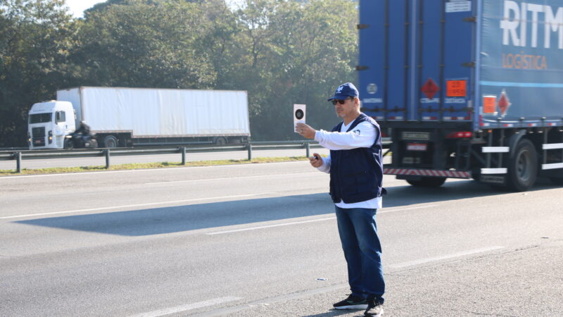 Escala de Ringelmann