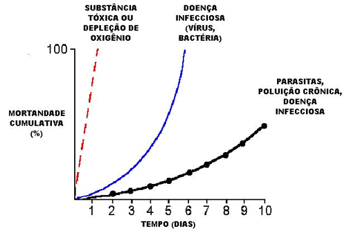 Figura 3 – Curvas (mortandade versus tempo) associadas às três maiores categorias de mortandade de peixes (adaptado de Diseases of Hatchery Fish(1))