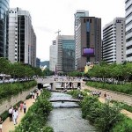 Gestão de resíduos na Coreia do Sul é surpreendente, diz Jussara Carvalho 