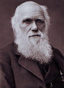 Charles Darwin (1809-1882) o pai da teoria da evolução das espécies