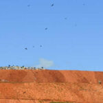 Seminário preconiza conjunção de esforços para se atingir as metas da Política Nacional de Resíduos Sólidos