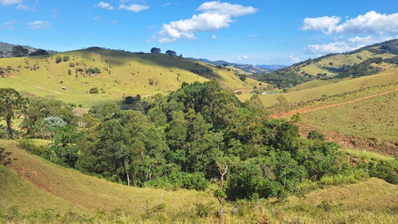 Projetos de restauração em Joanópolis recuperam 64 hectares de mata nativa