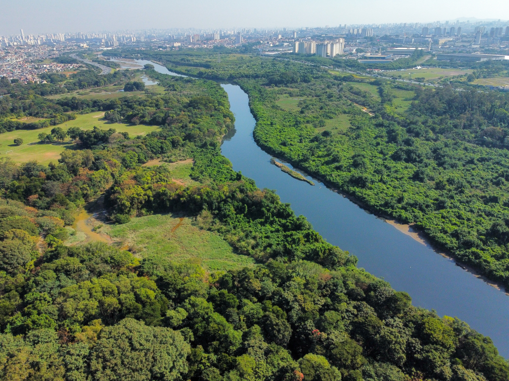 Leia mais sobre o artigo Eutrofização do Tietê: Governo de SP propõe criação de Grupo de Fiscalização para coibir abusos