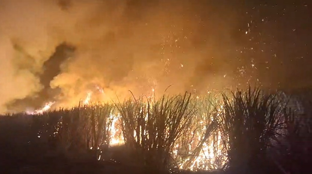 Leia mais sobre o artigo Cetesb suspende queimas controladas em SP por 30 dias durante estiagem