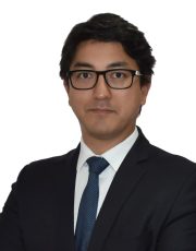 Thomaz Miazaki de Toledo